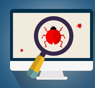 Bug in computer