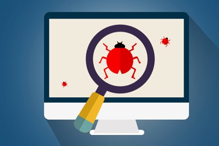 Bug in computer